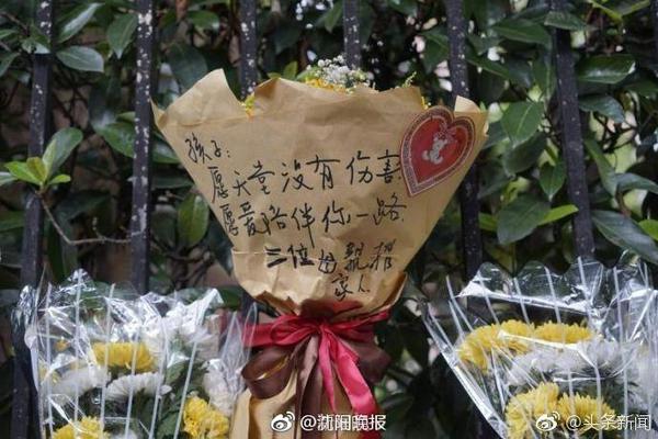 申花将派两队参加“Soccer7sSeries”七人制国际足球邀请赛